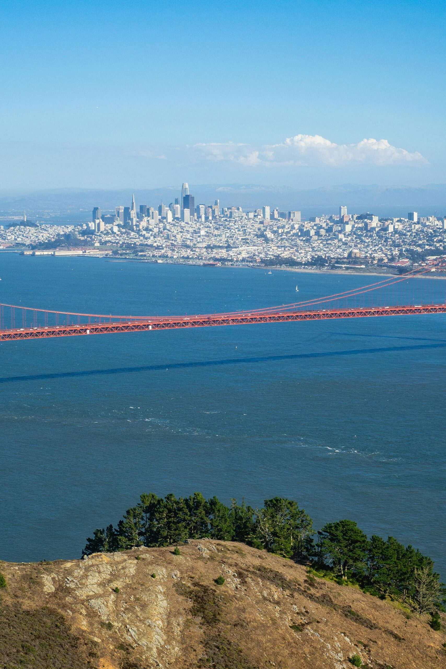 pexels-robertkso-34007270