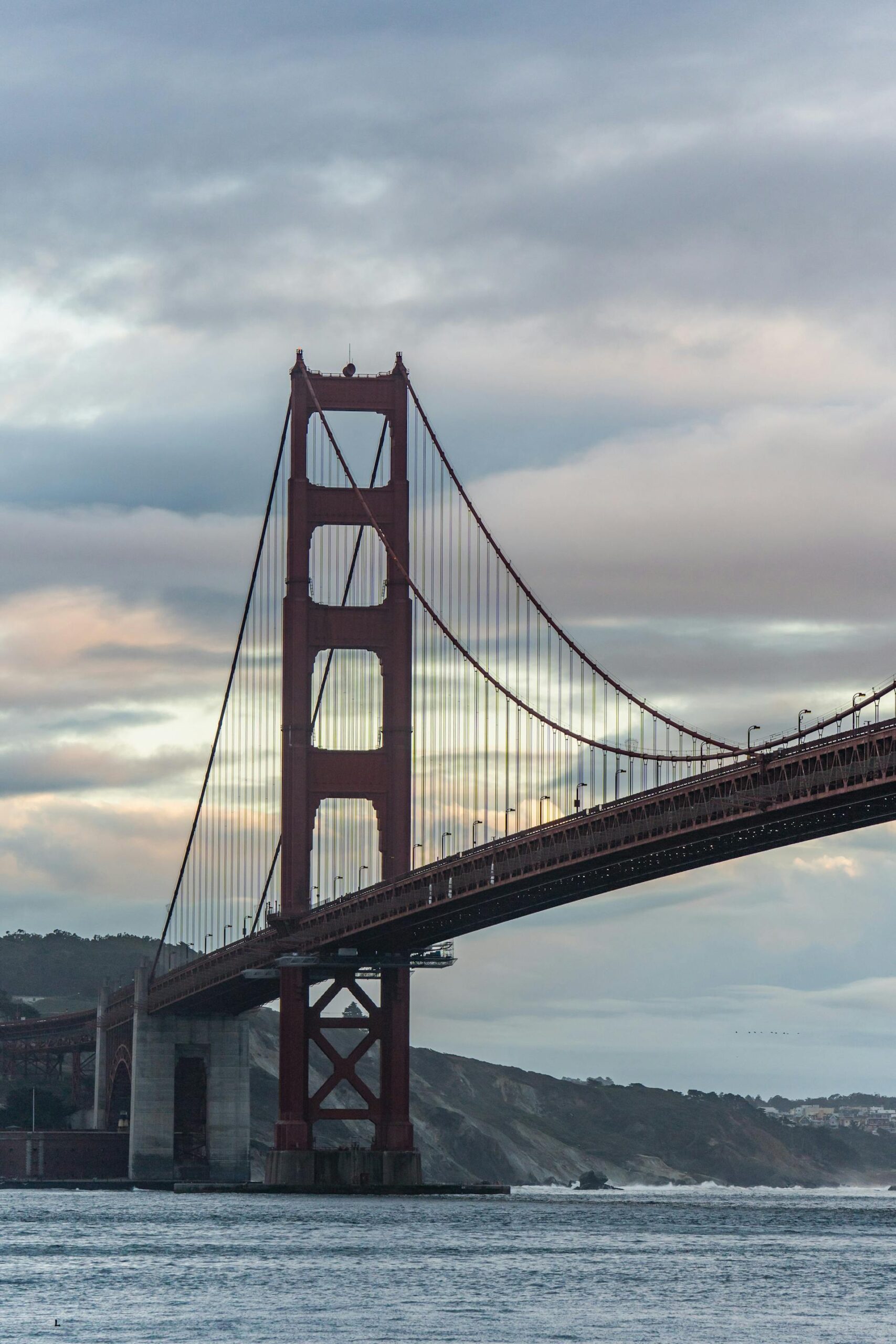 pexels-robertkso-34127262